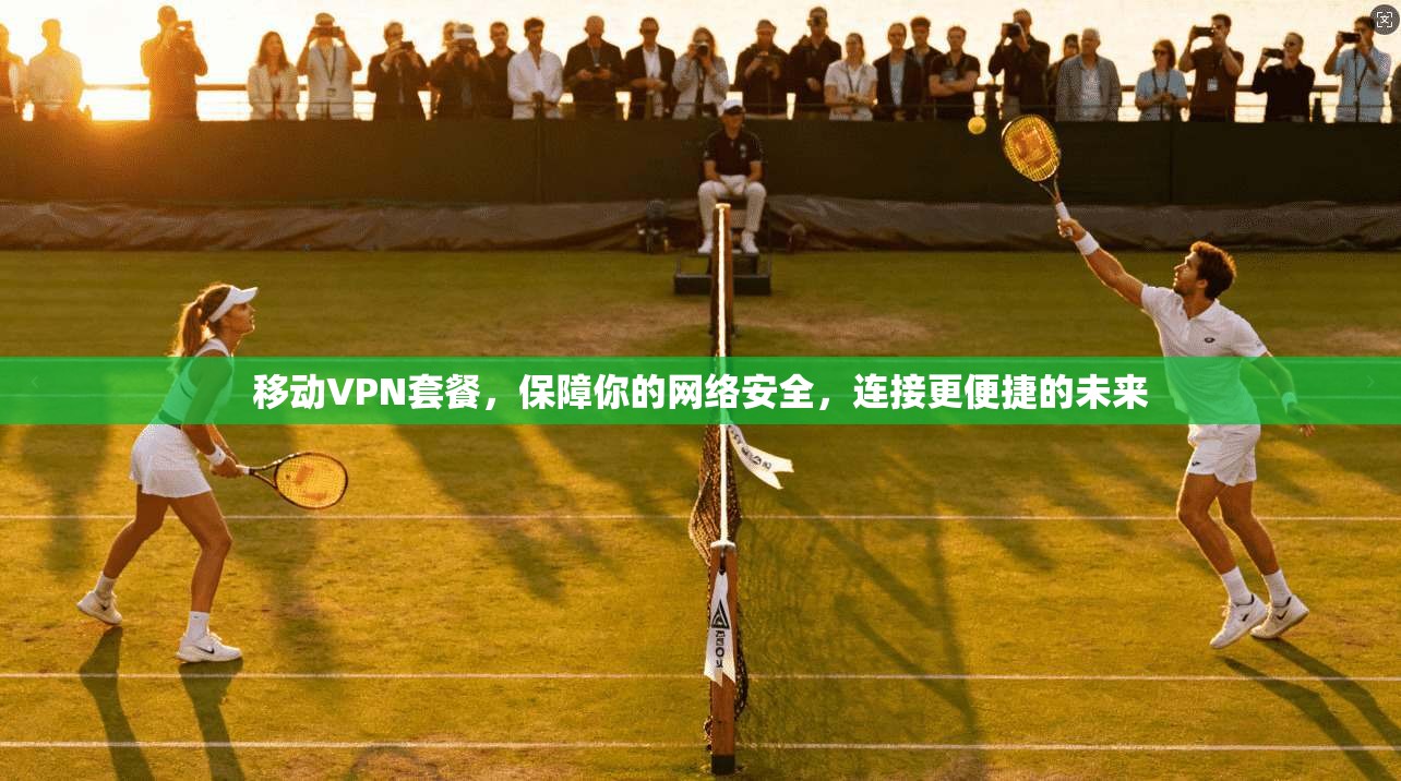 移动VPN套餐,保障你的网络安全,连接更便捷的未来