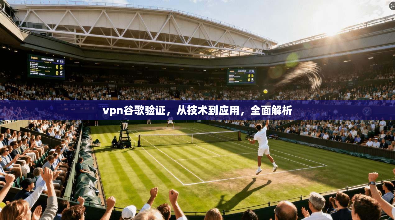 vpn谷歌验证，从技术到应用，全面解析