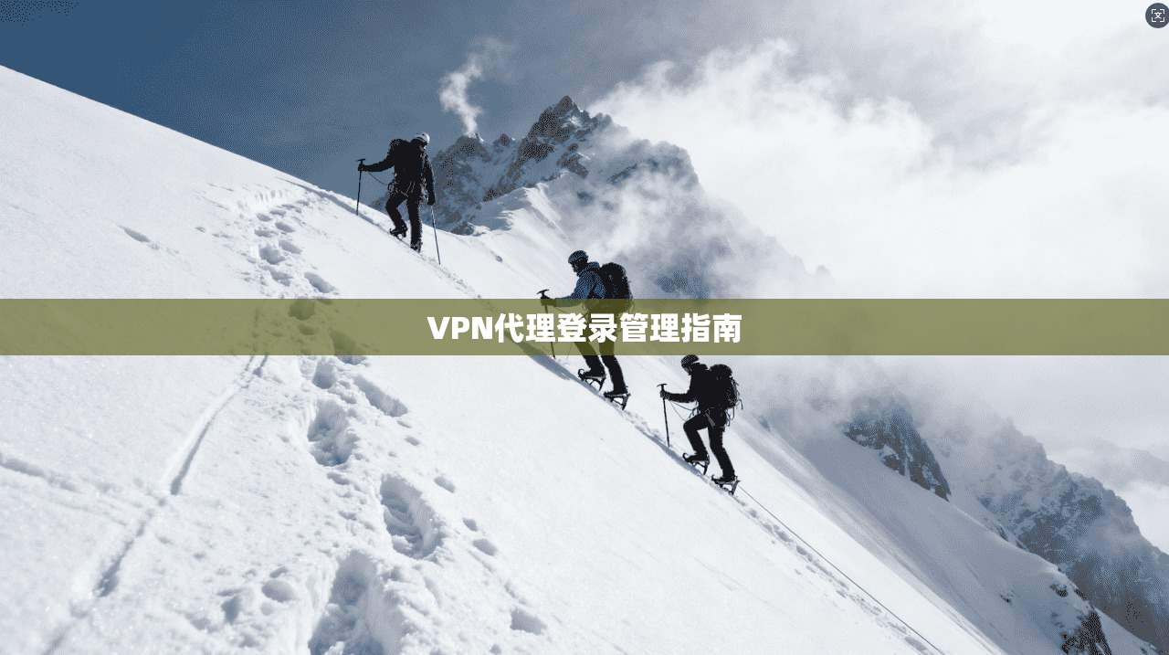 VPN代理登录管理指南