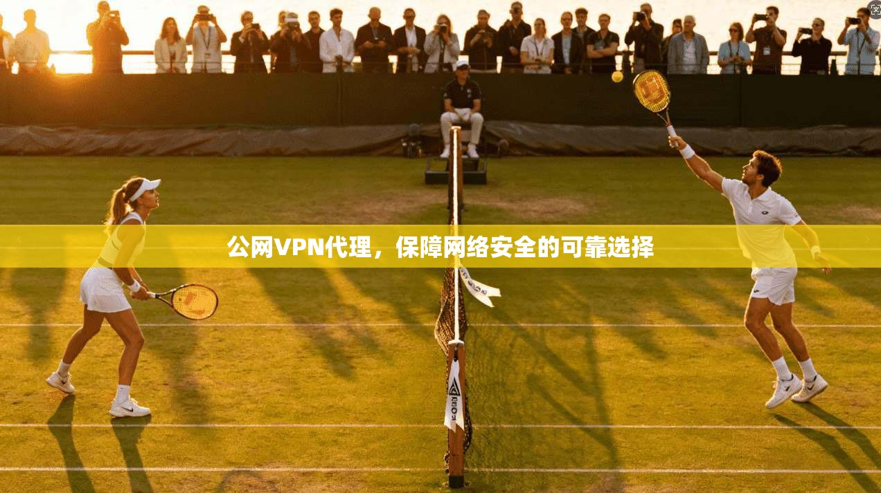 公网VPN代理，保障网络安全的可靠选择