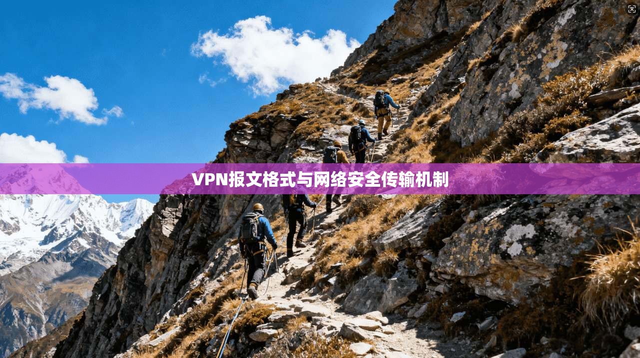 VPN报文格式与网络安全传输机制 VPN报文格式与网络安全传输机制