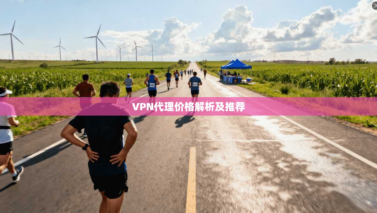 VPN代理价格解析及推荐