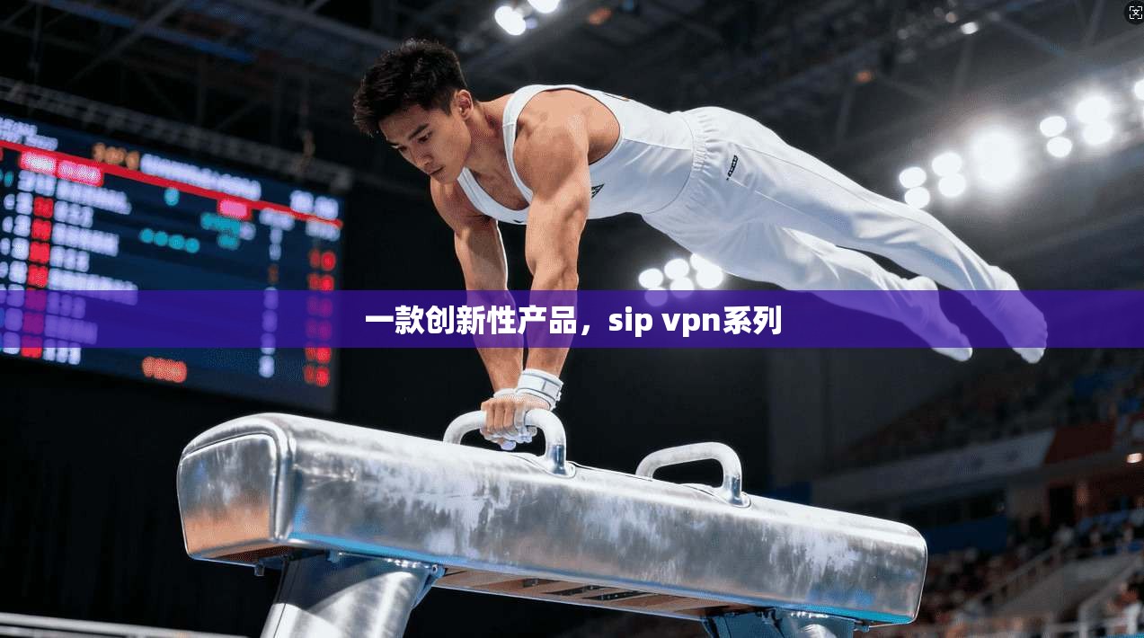 一款创新性产品，sip vpn系列