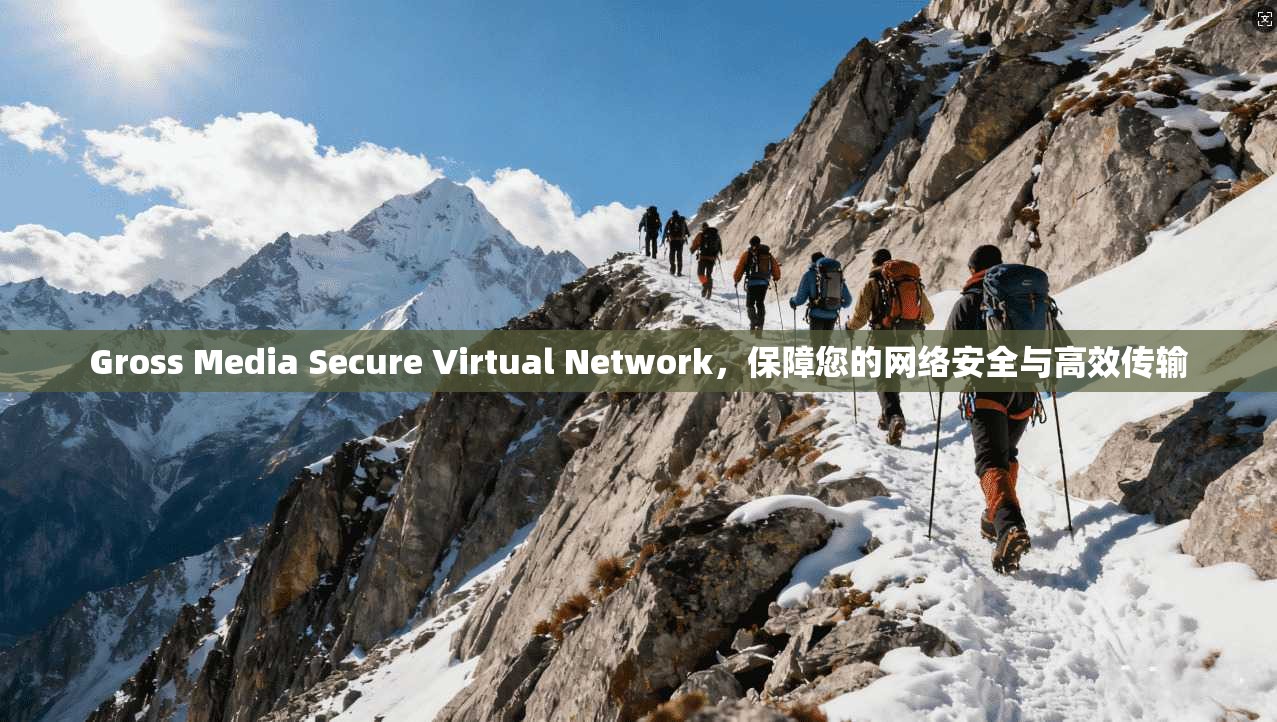 Gross Media Secure Virtual Network，保障您的网络安全与高效传输