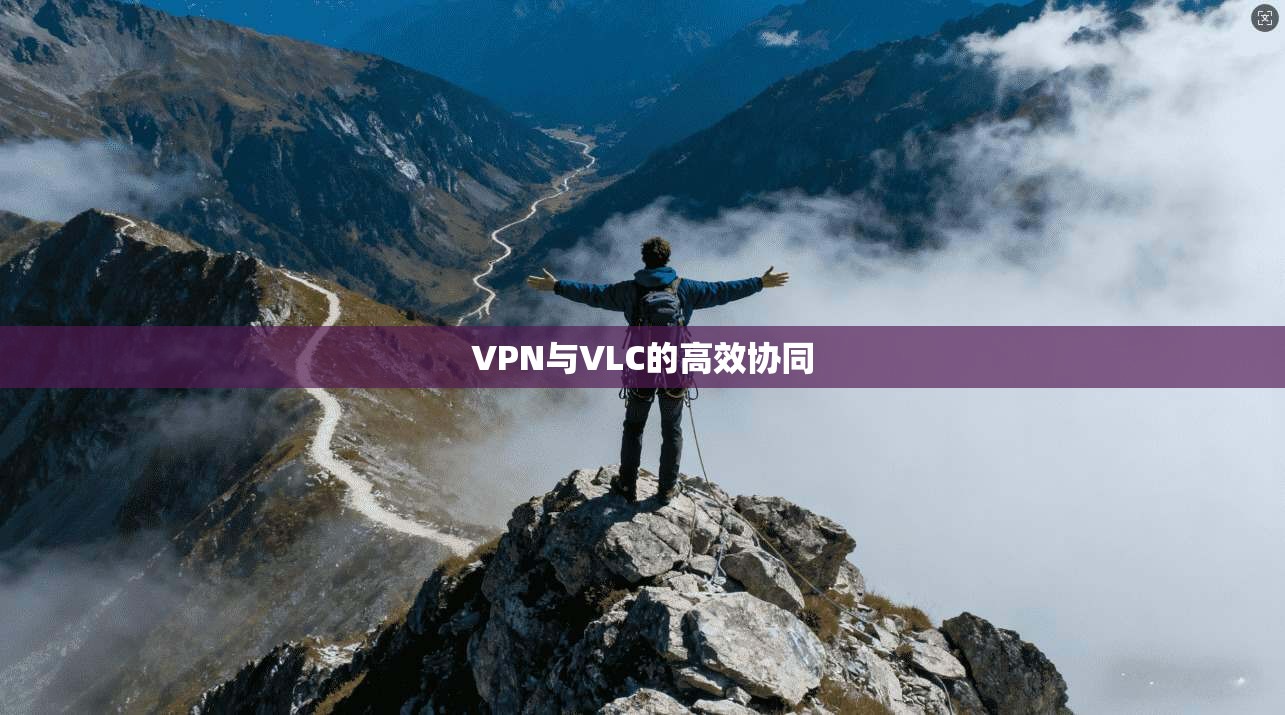 VPN与VLC的高效协同