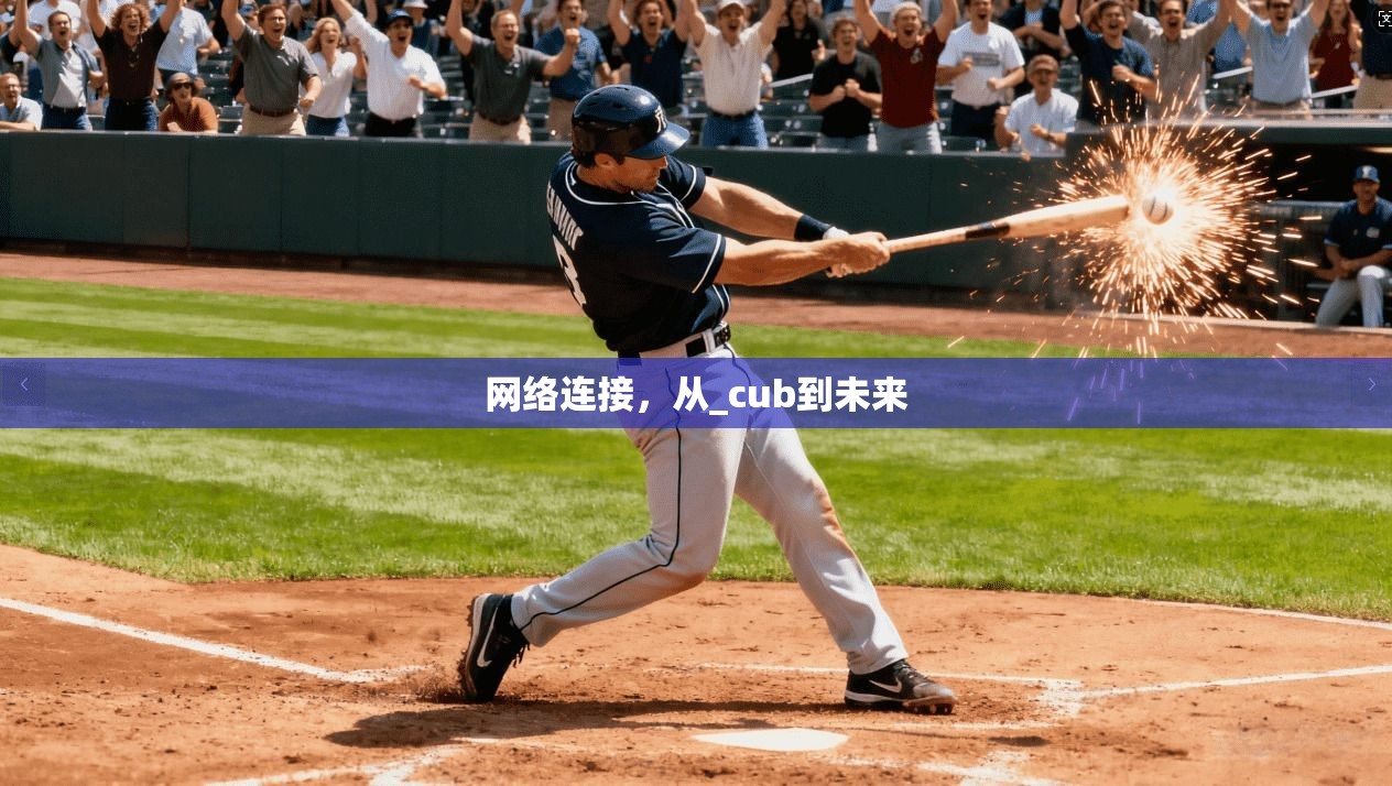网络连接，从_cub到未来