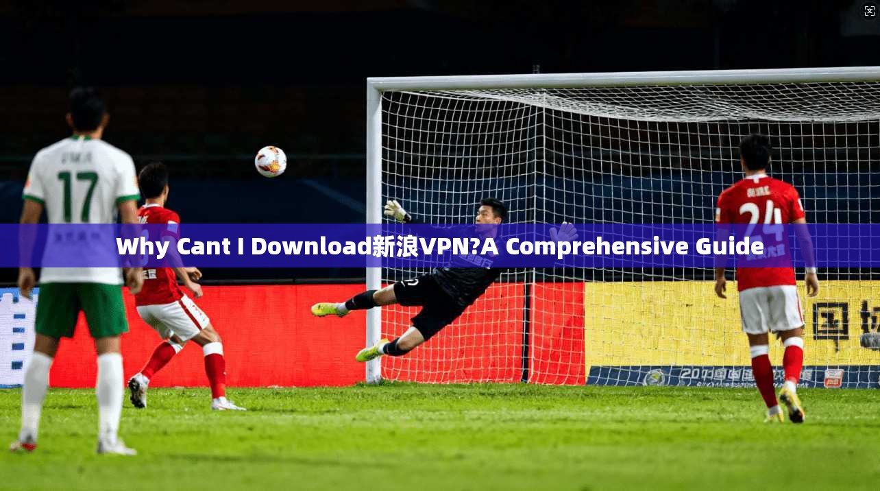 Why Cant I Download新浪VPN?A Comprehensive Guide