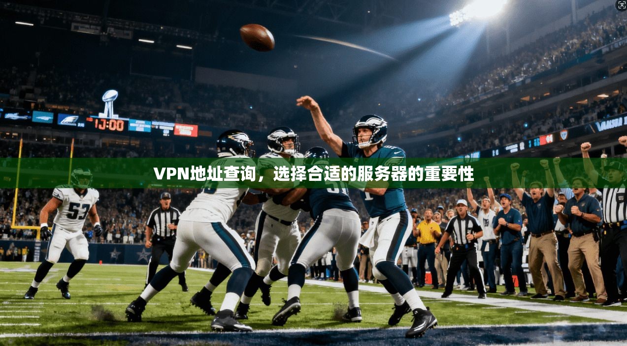 VPN地址查询，选择合适的服务器的重要性