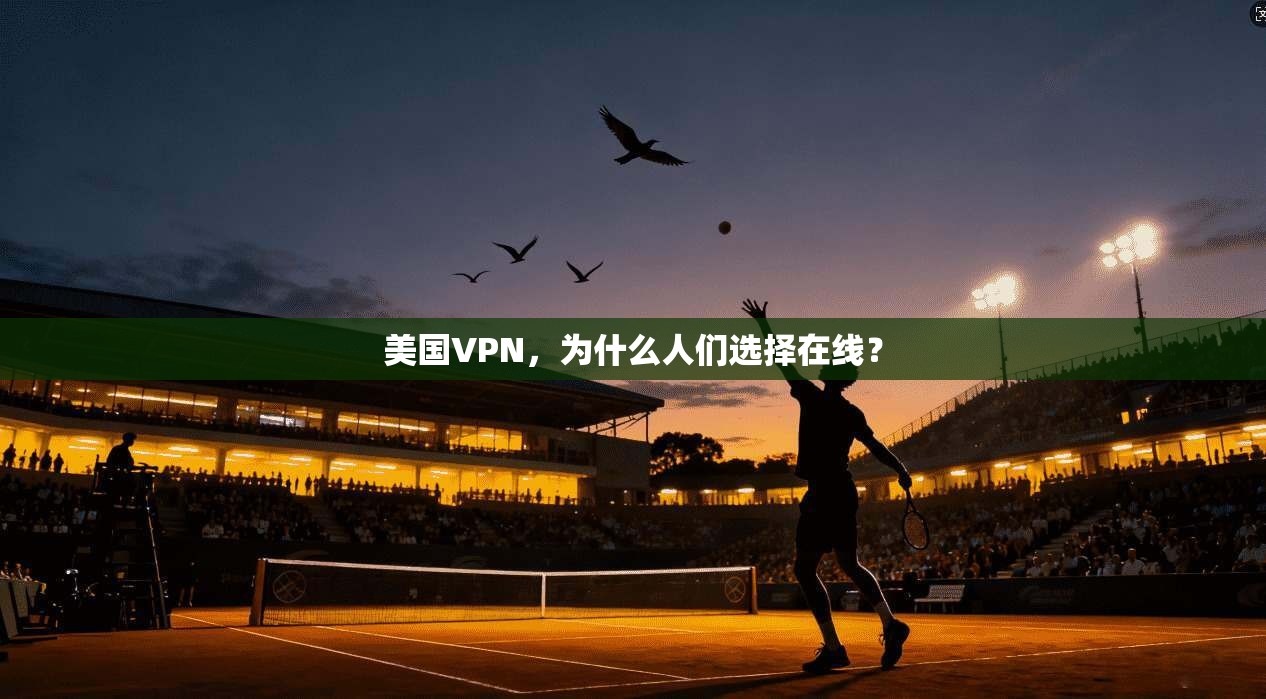 美国VPN,为什么人们选择在线? 美国VPN,为什么人们选择在线?