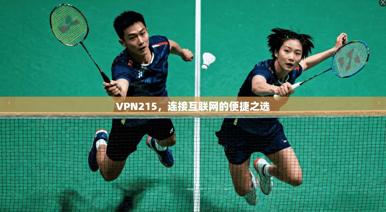 VPN215，连接互联网的便捷之选