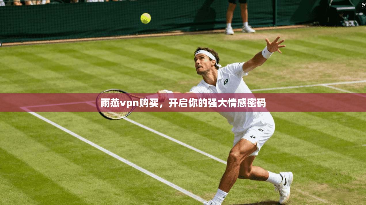 雨燕vpn购买，开启你的强大情感密码