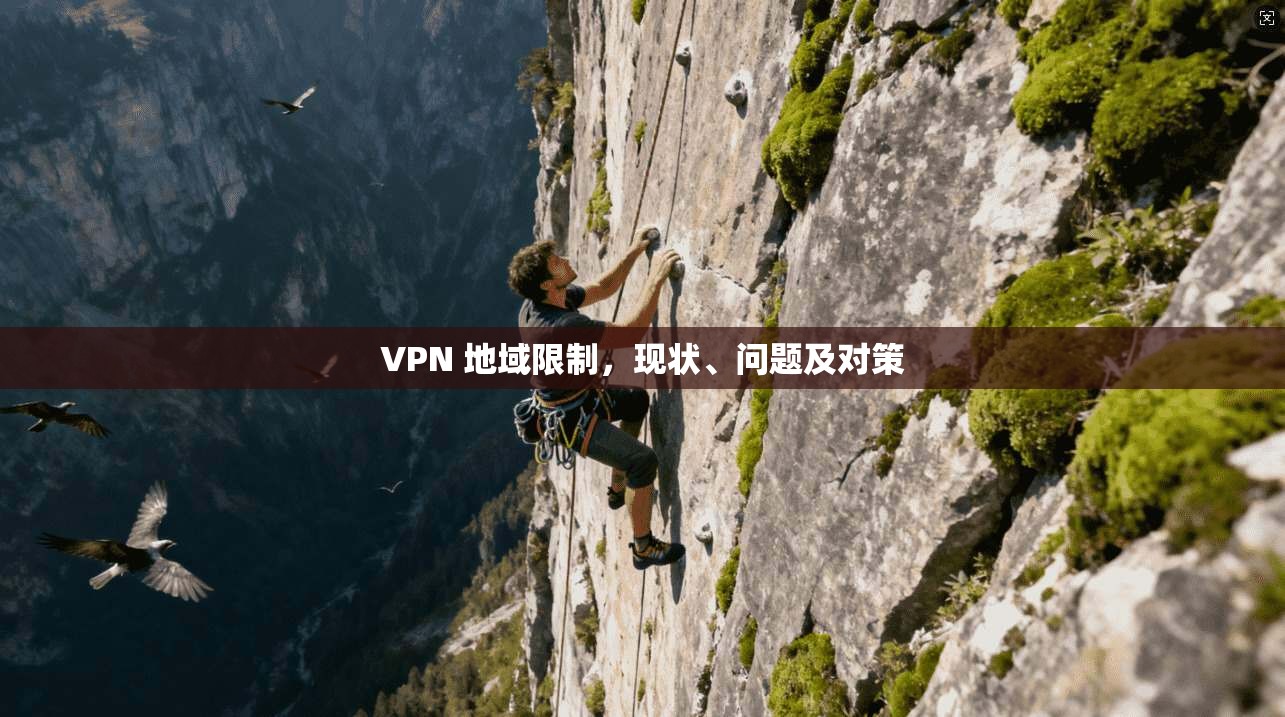 VPN 地域限制，现状、问题及对策