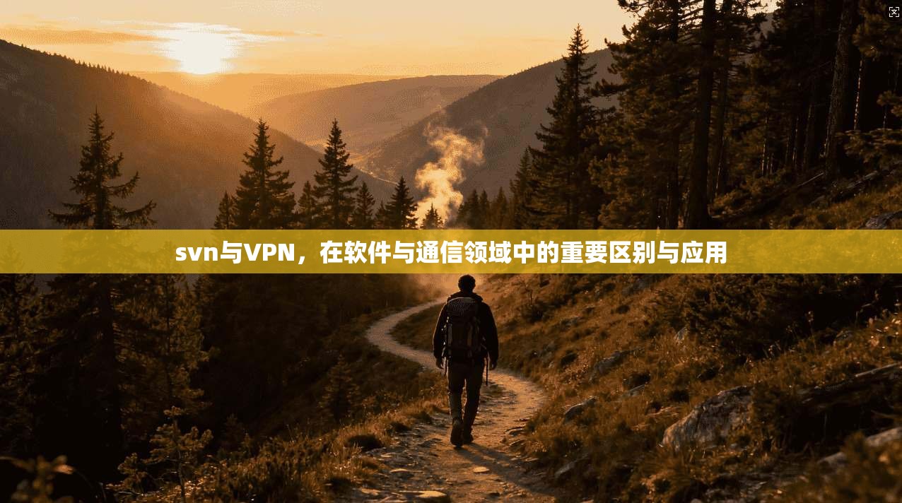 svn与VPN，在软件与通信领域中的重要区别与应用