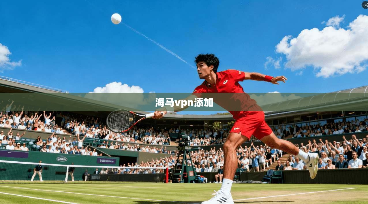 海马vpn添加
