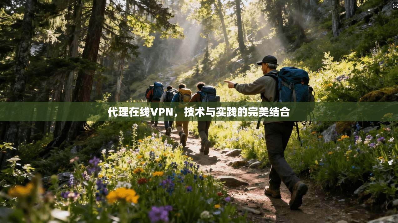 代理在线VPN，技术与实践的完美结合