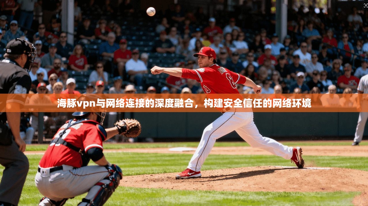 海豚vpn与网络连接的深度融合,构建安全信任的网络环境