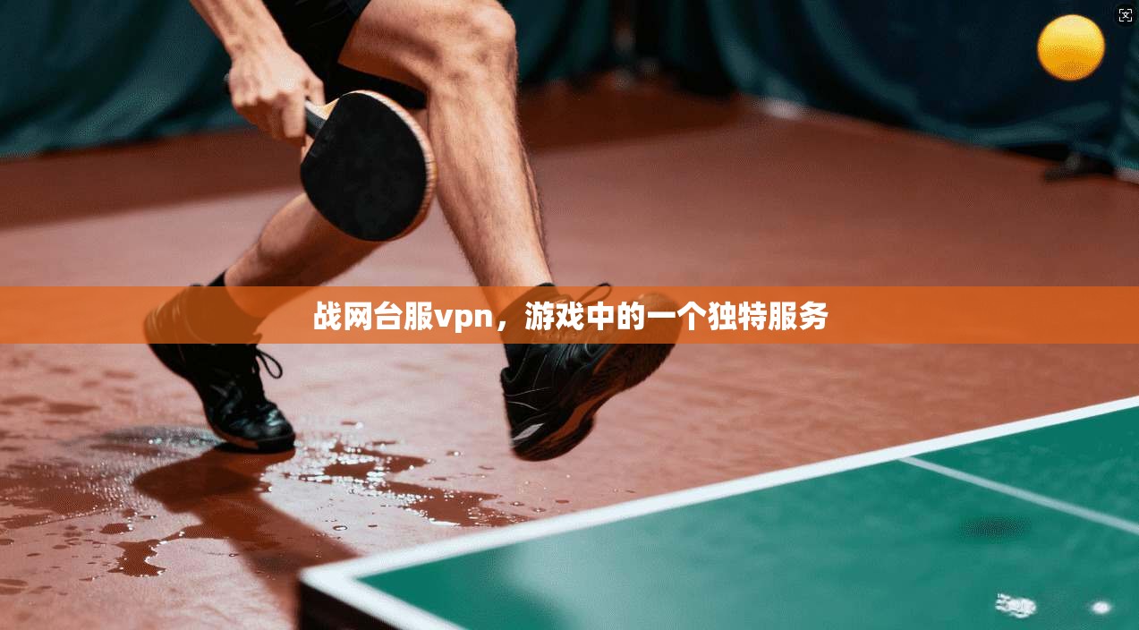 战网台服vpn，游戏中的一个独特服务