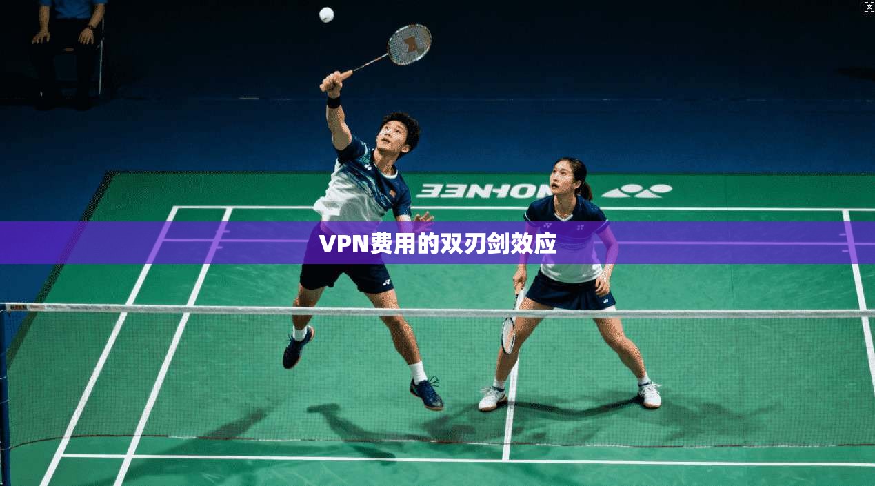 VPN费用的双刃剑效应