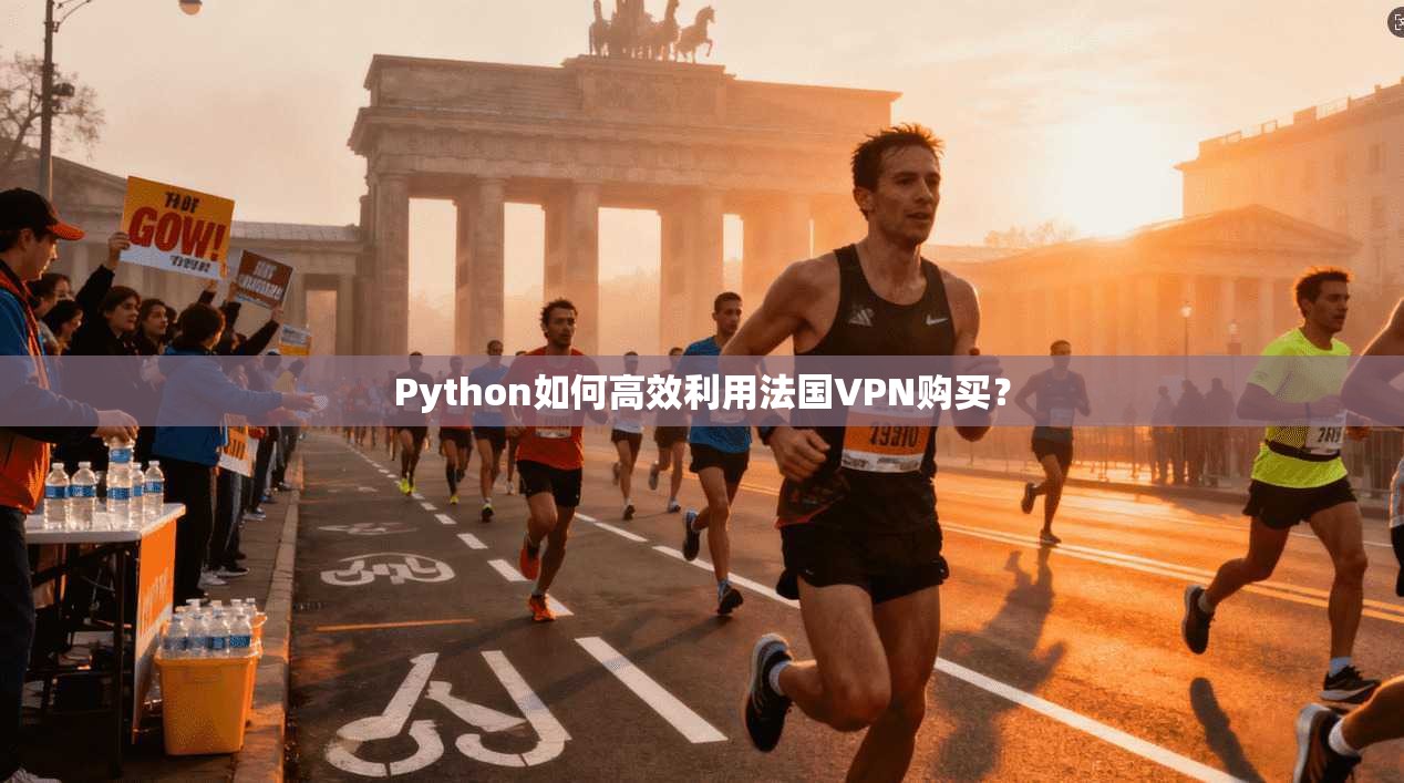Python如何高效利用法国VPN购买？