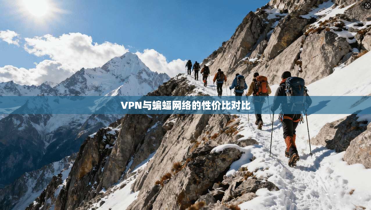 VPN与蝙蝠网络的性价比对比