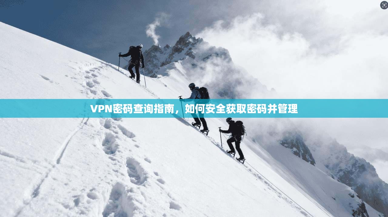 VPN密码查询指南，如何安全获取密码并管理