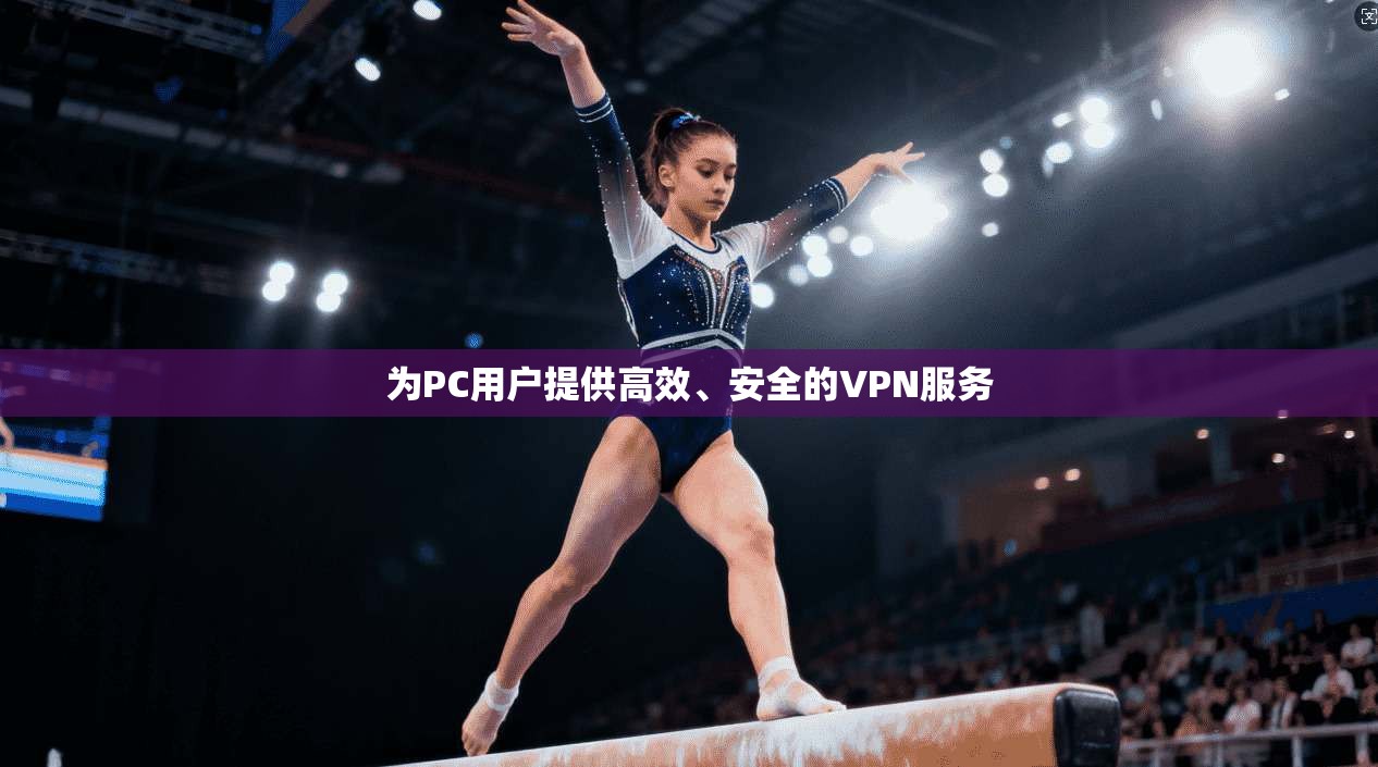 为PC用户提供高效、安全的VPN服务
