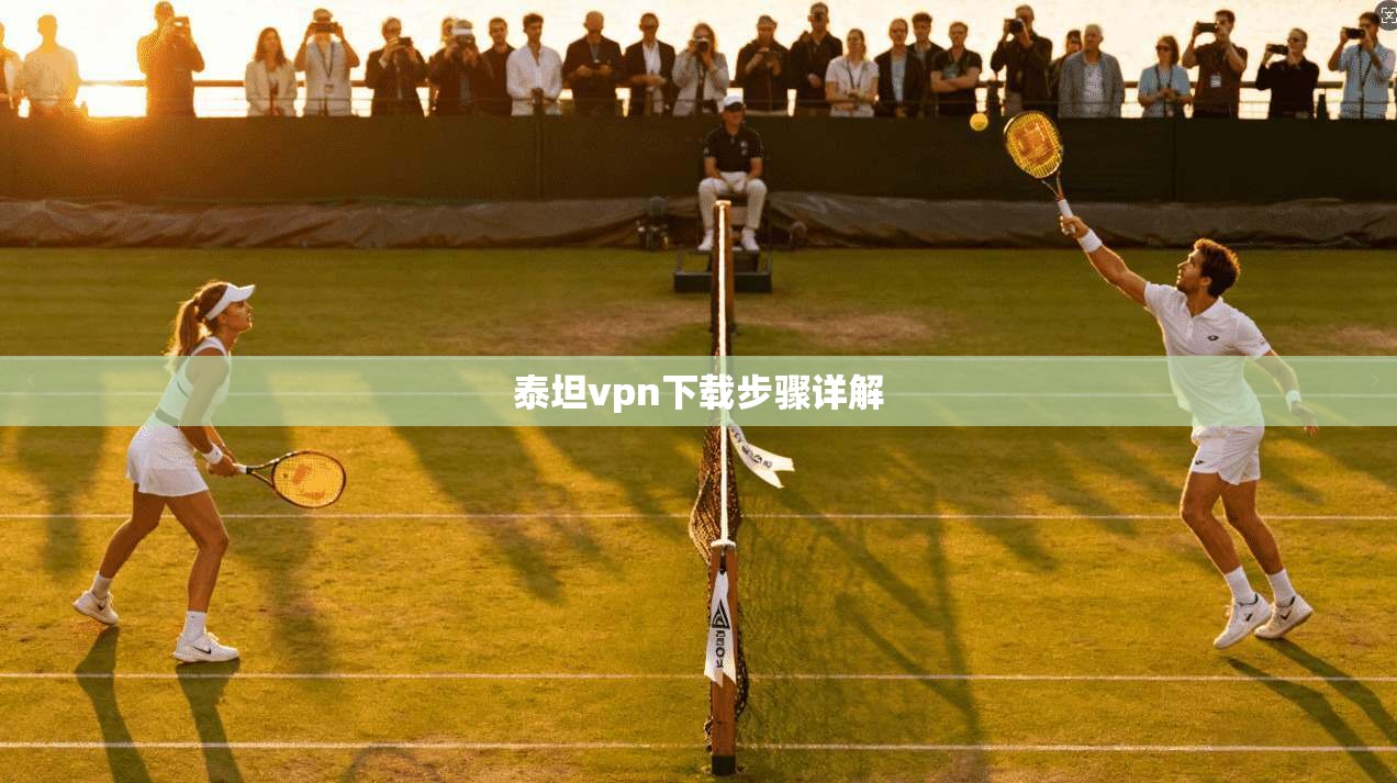 泰坦vpn下载步骤详解