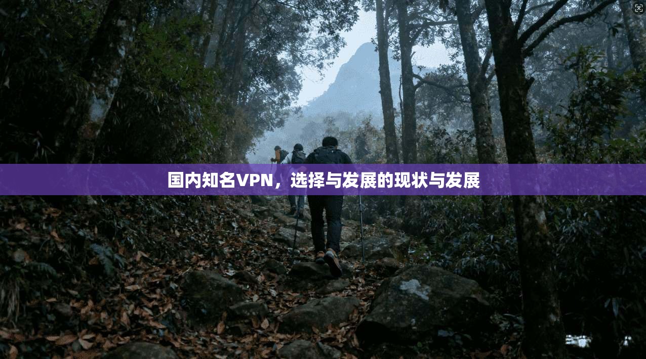 国内知名VPN，选择与发展的现状与发展
