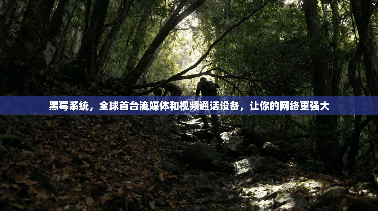 黑莓系统，全球首台流媒体和视频通话设备，让你的网络更强大