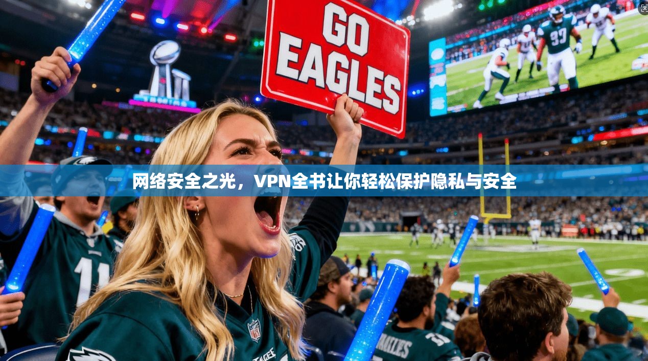 网络安全之光，VPN全书让你轻松保护隐私与安全