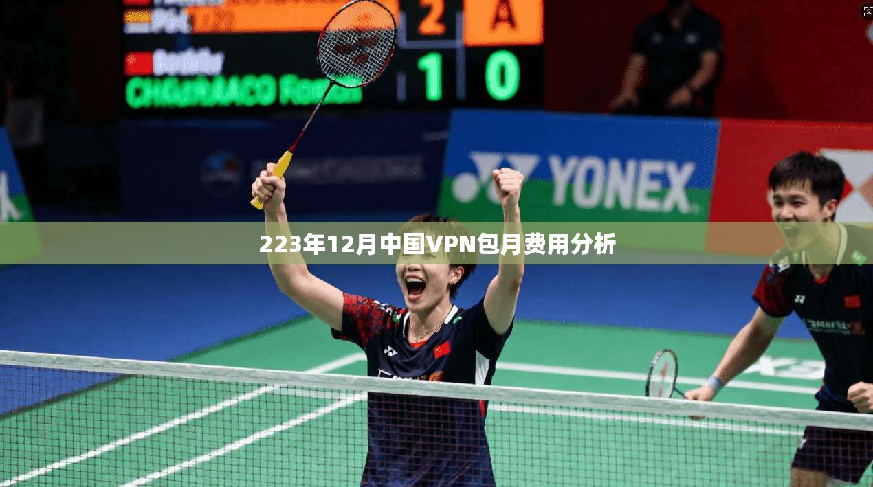 223年12月中国VPN包月费用分析