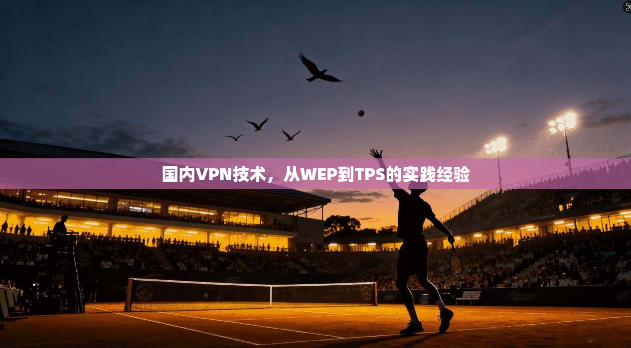 国内VPN技术，从WEP到TPS的实践经验