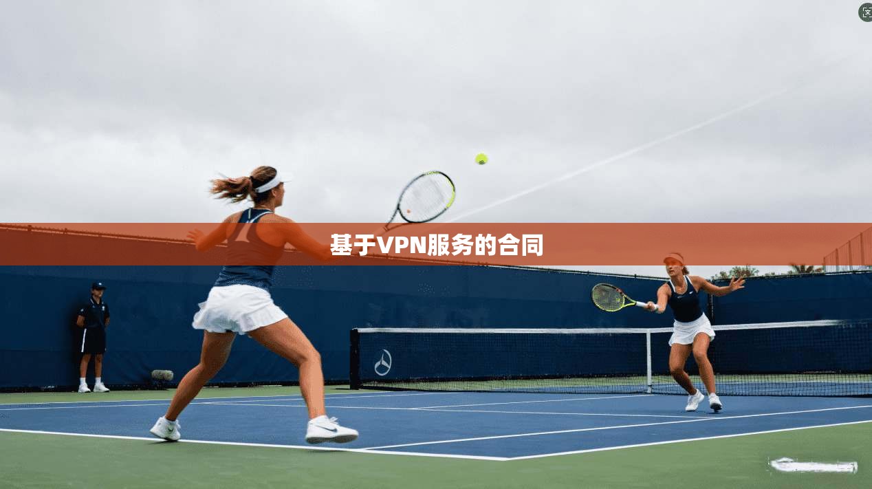 基于VPN服务的合同