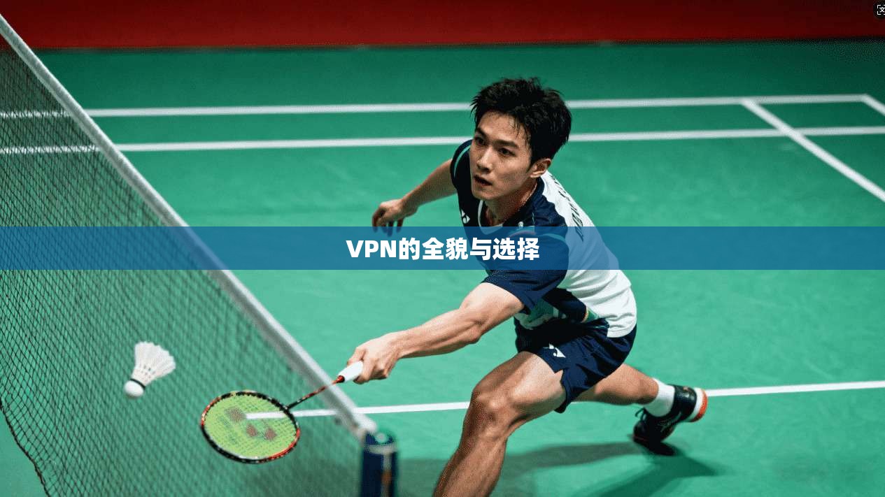 VPN的全貌与选择
