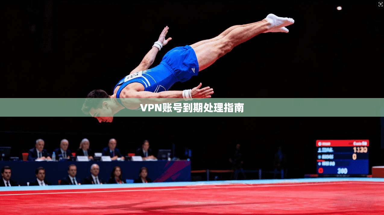 VPN账号到期处理指南