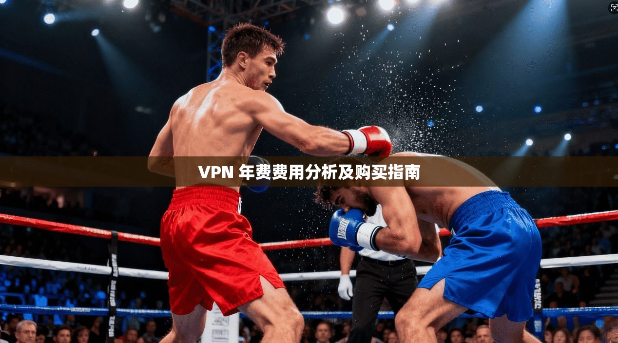 VPN 年费费用分析及购买指南