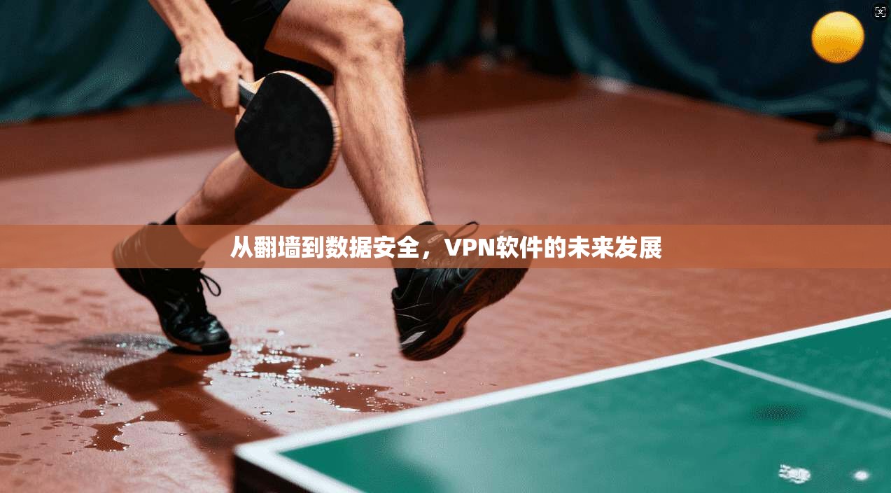 从翻墙到数据安全，VPN软件的未来发展