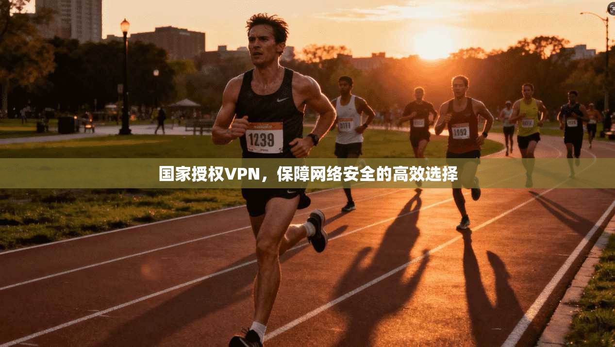 国家授权VPN,保障网络安全的高效选择