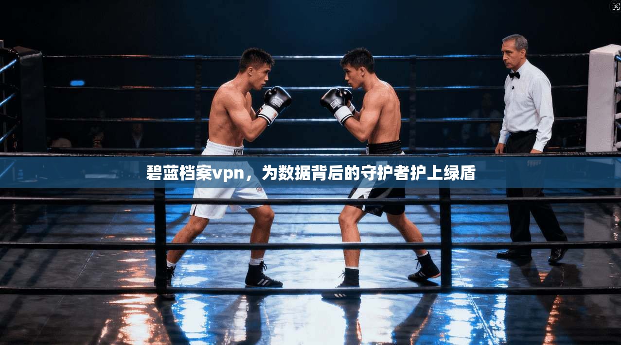 碧蓝档案vpn，为数据背后的守护者护上绿盾