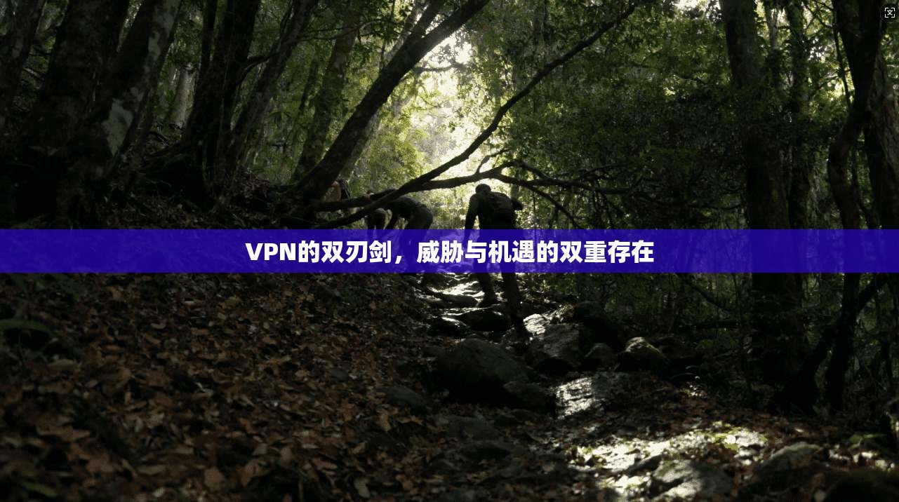 VPN的双刃剑，威胁与机遇的双重存在