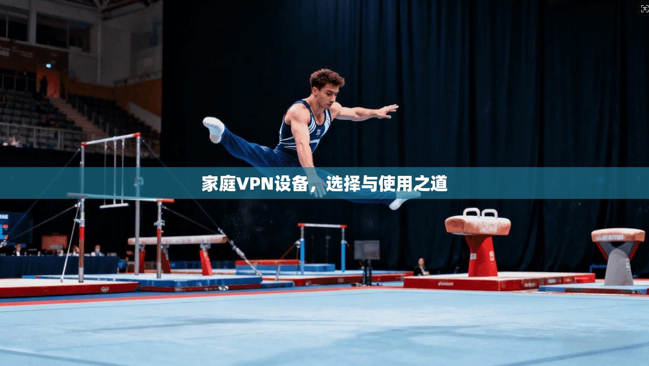 家庭VPN设备,选择与使用之道