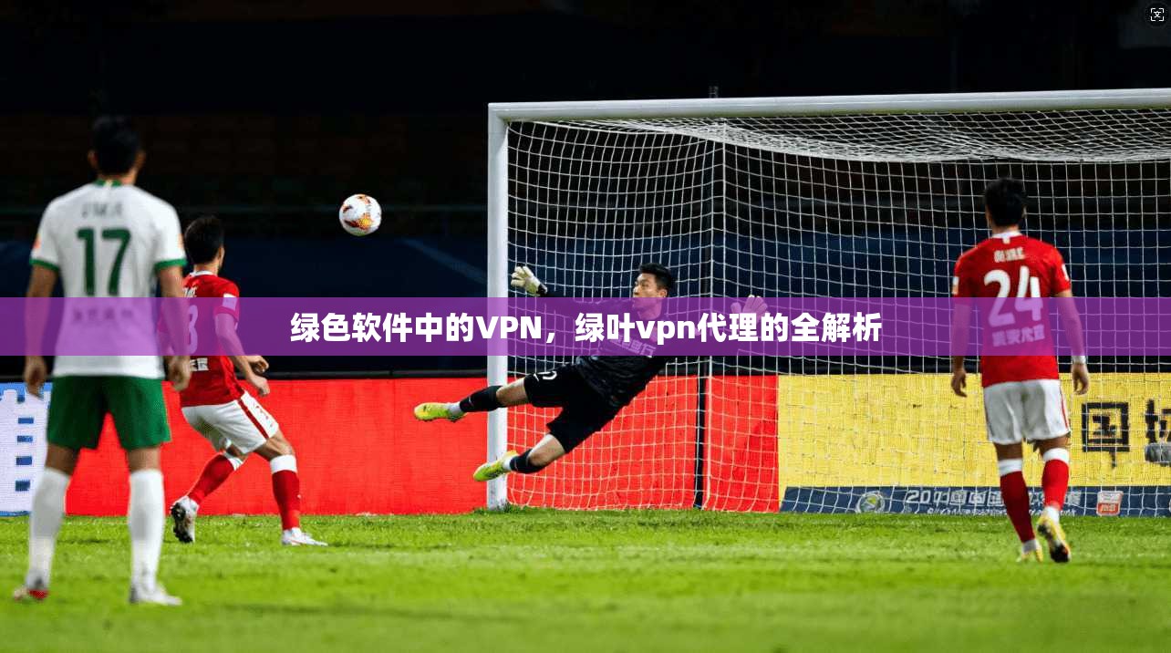 绿色软件中的VPN，绿叶vpn代理的全解析