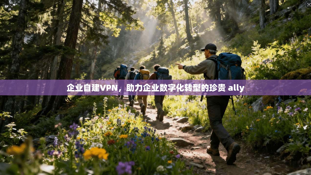 企业自建VPN，助力企业数字化转型的珍贵 ally