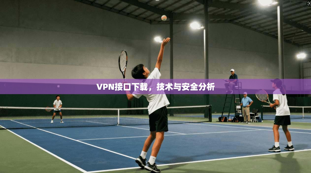 VPN接口下载，技术与安全分析