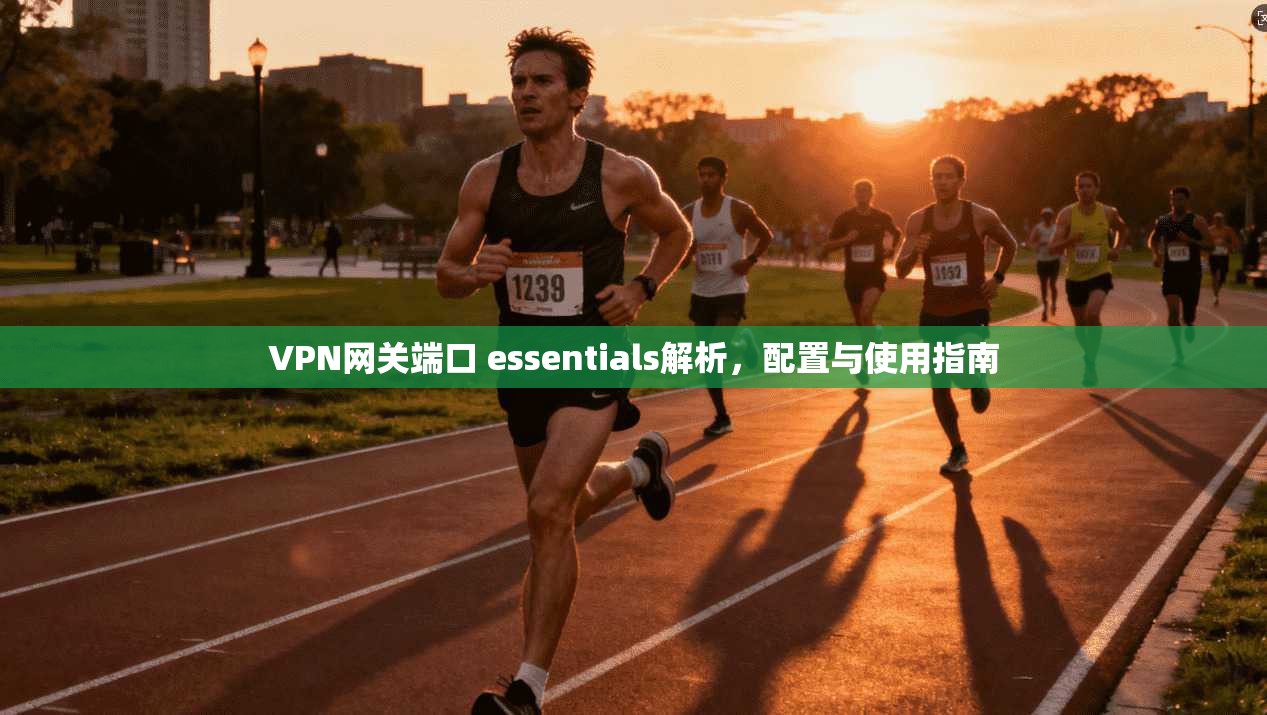 VPN网关端口 essentials解析，配置与使用指南