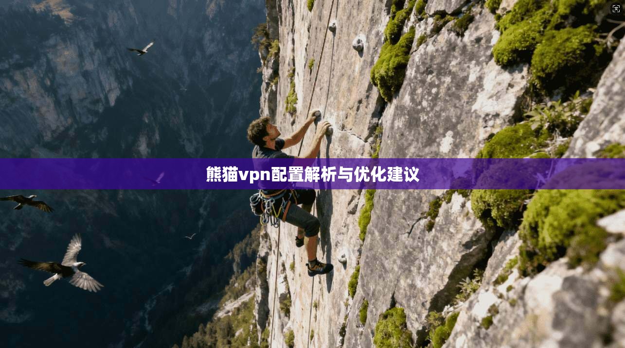熊猫vpn配置解析与优化建议