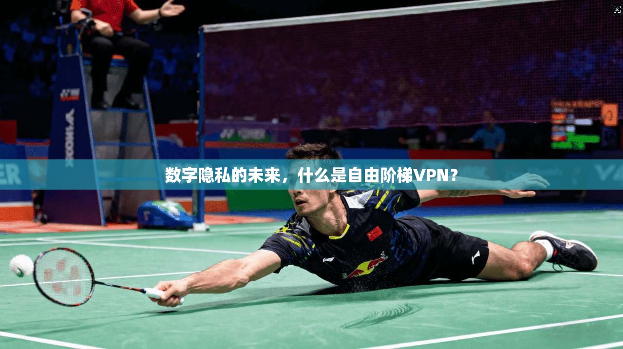 数字隐私的未来，什么是自由阶梯VPN？