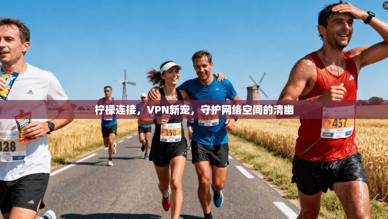 柠檬连接，VPN新宠，守护网络空间的清幽