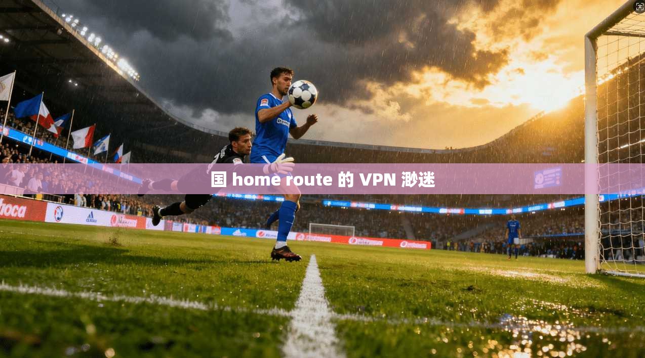 国 home route 的 VPN 渺迷