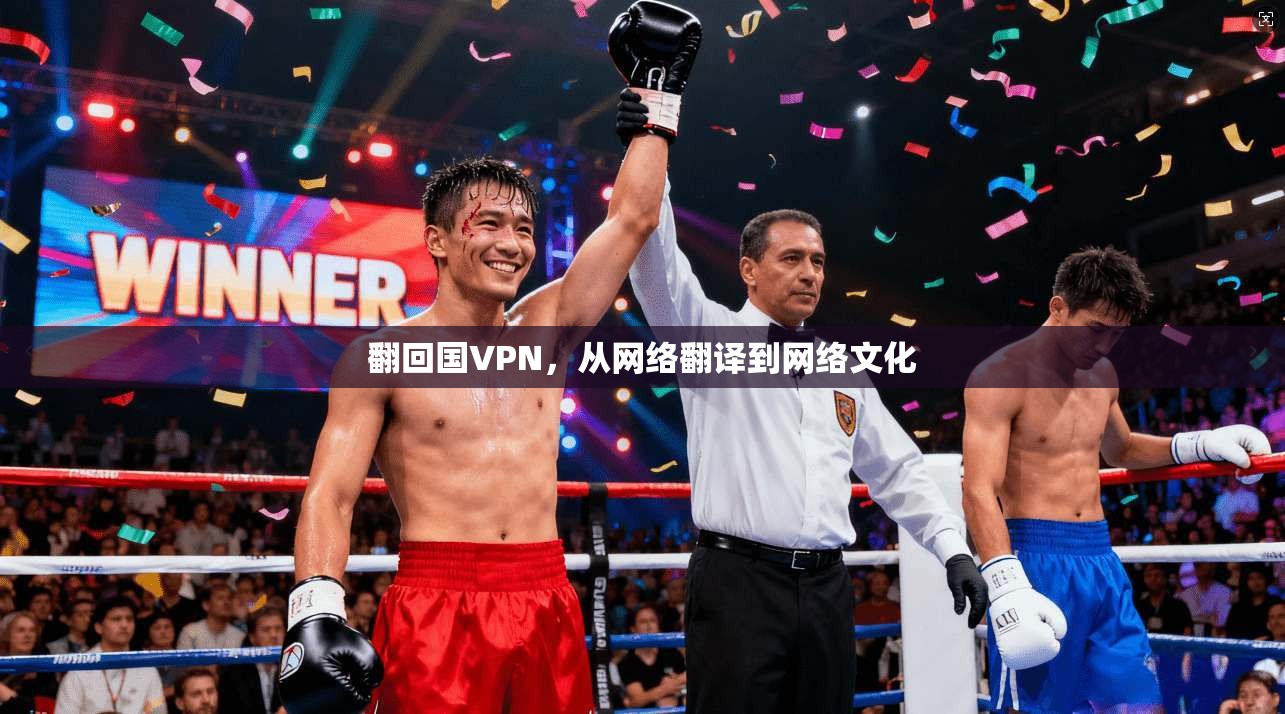 翻回国VPN，从网络翻译到网络文化